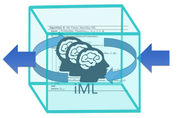 iML-human-in-the-loop-glassbox-machine-learning-quad